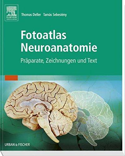 Fotoatlas Neuroanatomie