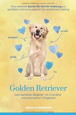 Golden Retriever: Dein perfekter Begleiter mit Charakter und besonderen Fähigkeiten