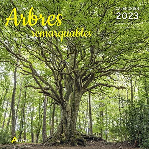 Arbres remarquables : calendrier 2023 : de septembre 2022 à décembre 2023