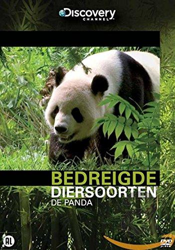 Bedreigde Diersoorten de Panda