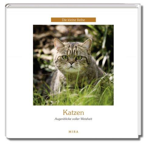 Katzen - Augenblicke voller Weisheit