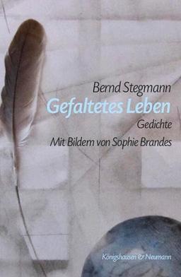 Gefaltetes Leben: Gedichte. Mit Bildern von Sophie Brandes