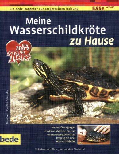 Wasserschildkröte, zu Hause