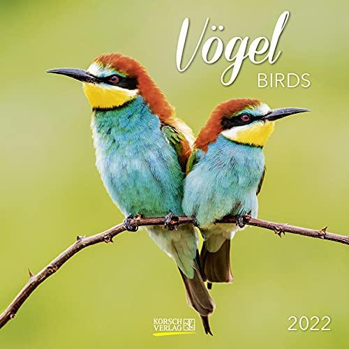 Vögel 2022: Broschürenkalender mit Ferienterminen und Bildern unserer heimischen Vogelwelt. Format: 30 x 30 cm