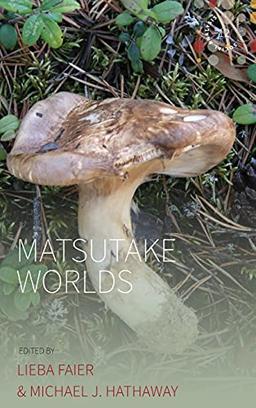 Matsutake Worlds (Studies in Social Analysis, 12)