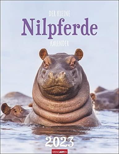 Der kleine Nilpferde-Kalender Kalender 2023