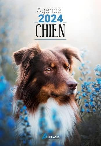 Chien : agenda 2024