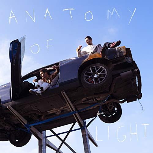 Anatomy of Light [Vinyl LP]