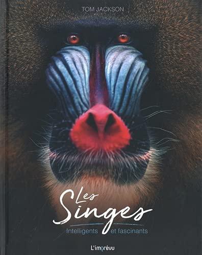 Les singes : intelligents et fascinants