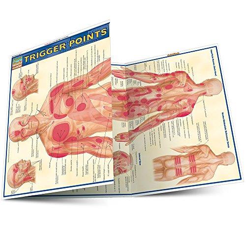 CHART-QUICKSTUDY TRIGGER POINT (Quick Study Academic)