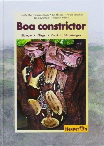 Boa constrictor: Biologie, Pflege, Zucht, Erkrankungen