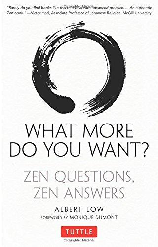 What More Do You Want?: Zen Questions, Zen Answers