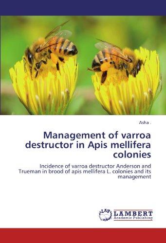 Management of varroa destructor in Apis mellifera colonies: Incidence of varroa destructor Anderson and Trueman in brood of apis mellifera L. colonies and its management