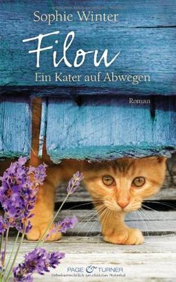 Filou - Ein Kater auf Abwegen: Roman