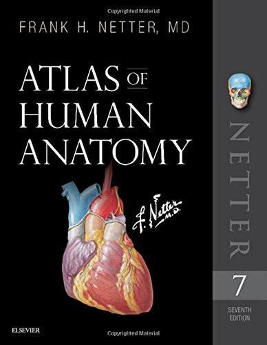 Atlas of Human Anatomy (Netter Basic Science)