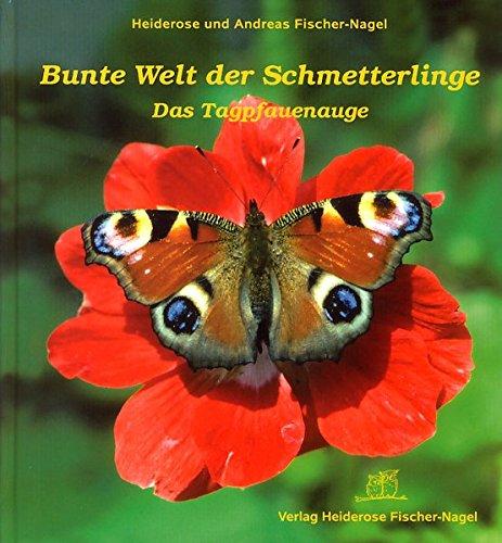 Bunte Welt der Schmetterlinge: Das Tagpfauenauge