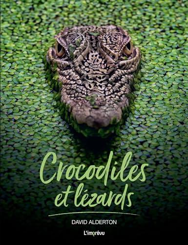 Crocodiles et lézards