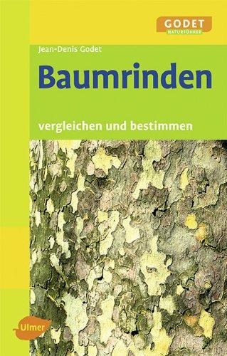 Baumrinden: Vergleichen und bestimmen