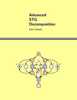 Advanced STG Decomposition