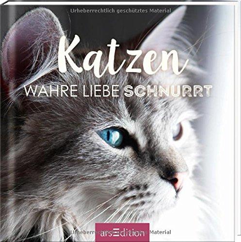 Katzen: Wahre Liebe schnurrt