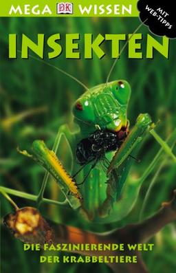 Megawissen Insekten. Die faszinierende Welt der Krabbeltiere