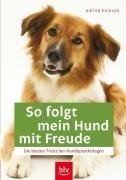 So folgt mein Hund mit Freude: Die besten Tricks der Hundepsychologen