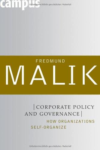 Corporate Policy and Governance: How Organizations Self-Organize (Management: Mastering Complexity)