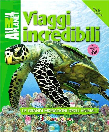 Viaggi incredibili