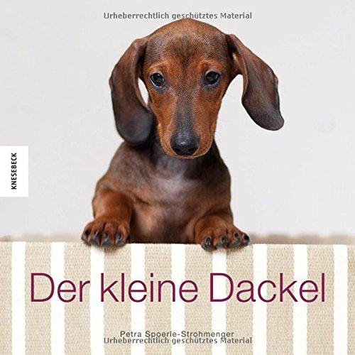 Der kleine Dackel