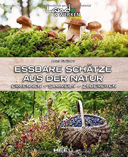 Essbare Schätze aus der Natur: Erkennen – Sammeln – Zubereiten