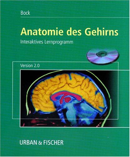 Anatomie des Gehirns 2.0, 1 CD-ROM Interaktives Lernprogramm