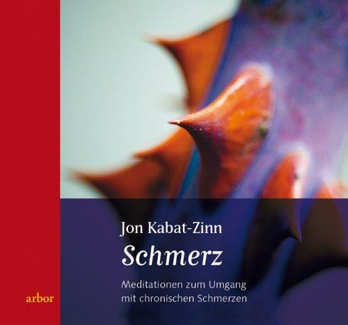 Schmerz: Meditationen zum Umgang mit chronischen Schmerzen