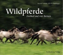 Wildpferde: Freiheit auf vier Beinen