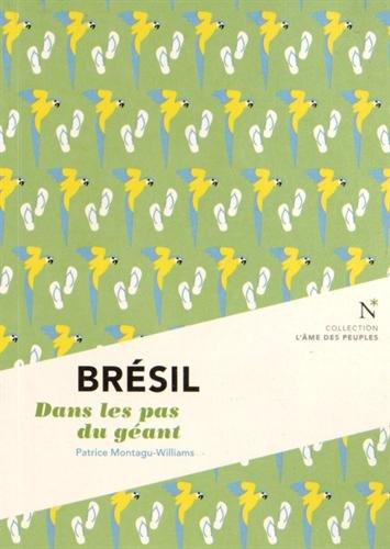 Brésil : dans les pas du géant