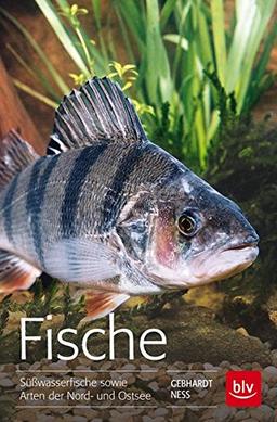 Fische: Süßwasserfische sowie Arten der Nord- und Ostsee