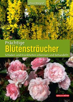 Prächtige Blütensträucher: Schäden und Krankheiten erkennen und behandeln