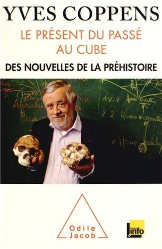 Le présent du passé au cube : des nouvelles de la préhistoire