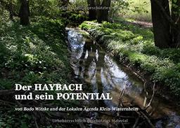 Der HAYBACH und sein POTENTIAL