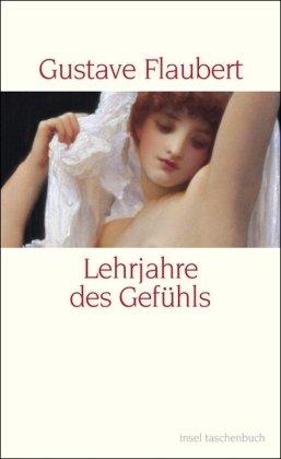 Lehrjahre des Gefühls: Geschichte eines jungen Mannes. Roman (insel taschenbuch)