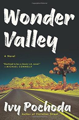 Wonder Valley: A Novel