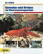 Garnelen und Krebse im Meerwasseraquarium, Ihr Hobby