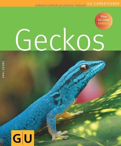 Geckos (GU Tierratgeber)