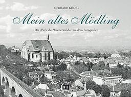 Mein altes Mödling: Die "Perle des Wienerwaldes" in alten Fotografien