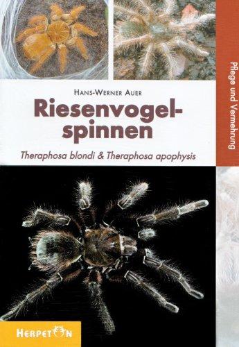 Riesenvogelspinnen: Theraphosa blondi & Theraphosa apophysis. Pflege und Vermehrung