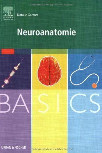 BASICS Neuroanatomie