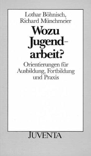 Wozu Jugendarbeit: Orientierungen für Ausbildung, Fortbildung und Praxis (Juventa Paperback)