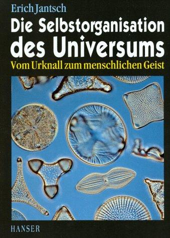 Die Selbstorganisation des Universums: Vom Urknall zum menschlichen Geist