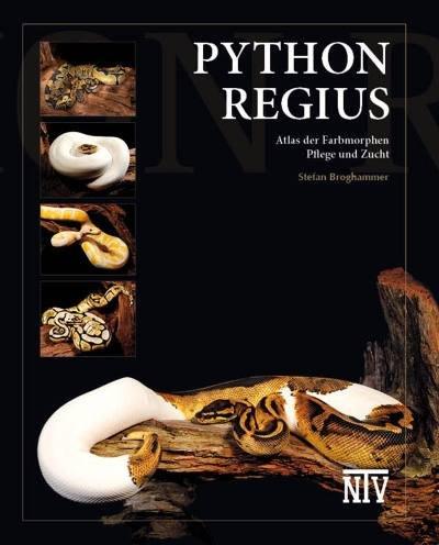 Python regius: Atlas der Farbmorphen