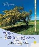 Vom Baum lernen jeden Tag neu: Wünsche für den Lebensweg