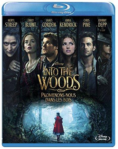 Into the woods : promenons-nous dans les bois [Blu-ray] [FR Import]